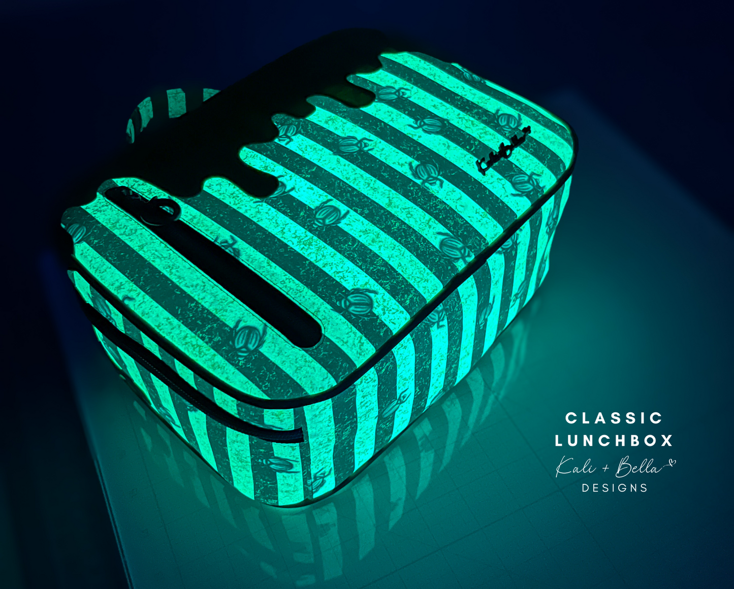 FOR TESTERS ONLY | Classic Lunchbox PDF Pattern | Digital Download